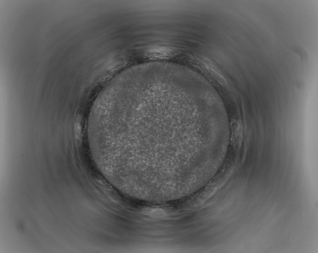 X0000113330655200910051147