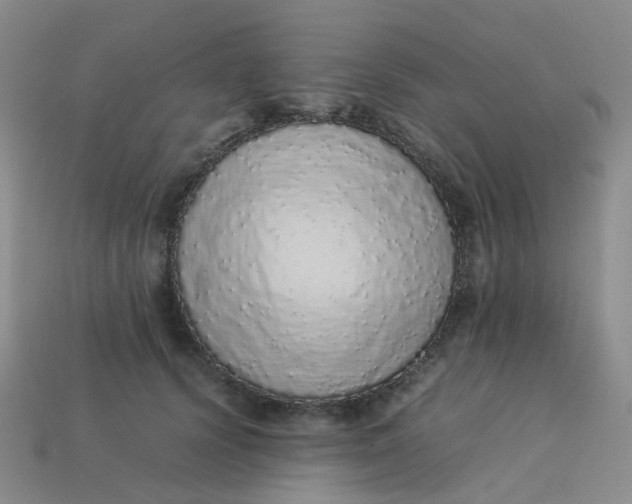 X0000113330656200910051147