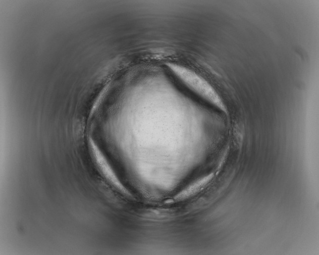 X0000113330657200910051147