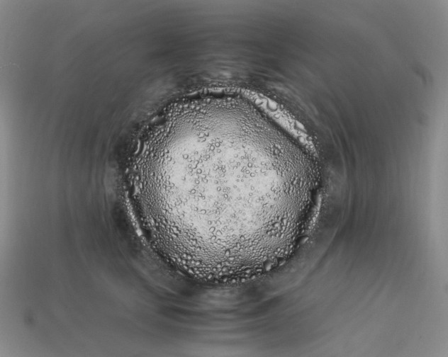 X0000113330659200910051147