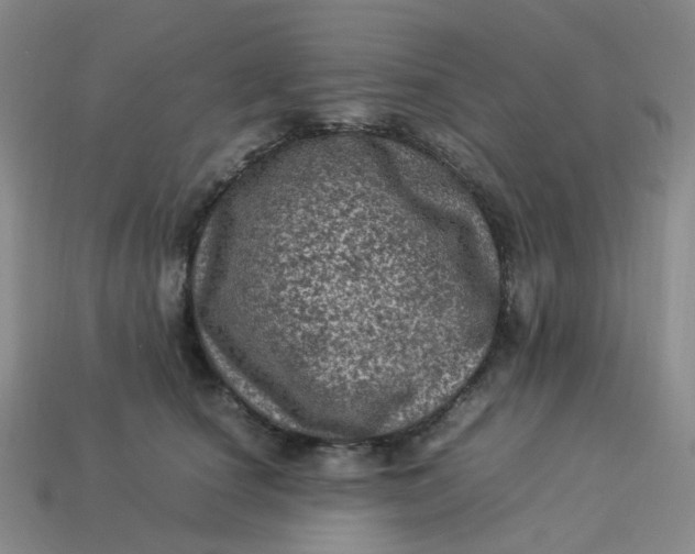 X0000113330660200910051147