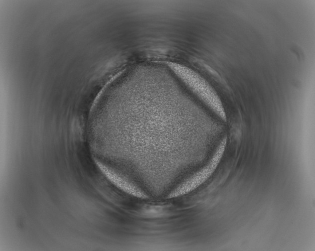 X0000113330661200910051147