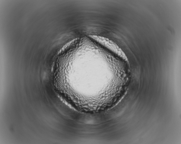 X0000113330663200910051147
