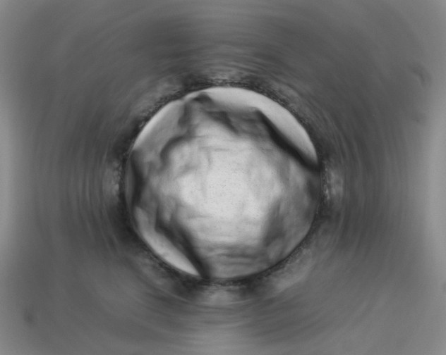 X0000113330664200910051147