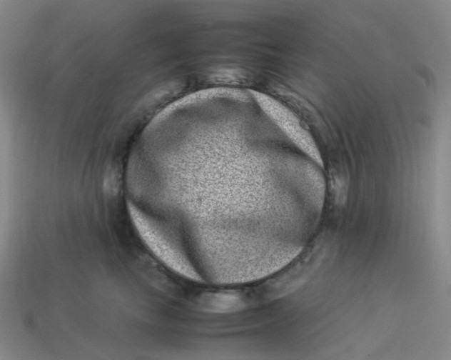X0000113330665200910051147
