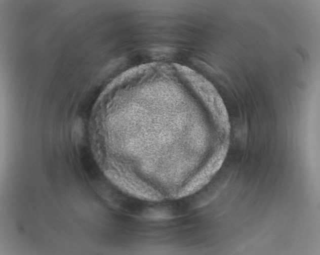 X0000113330667200910051147