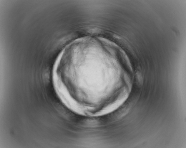 X0000113330668200910051147