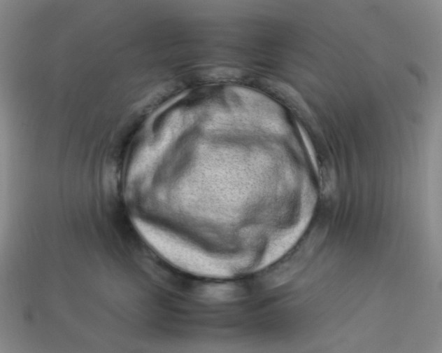 X0000113330669200910051147