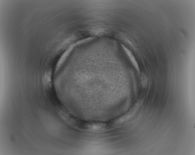 X0000113330670200910051147