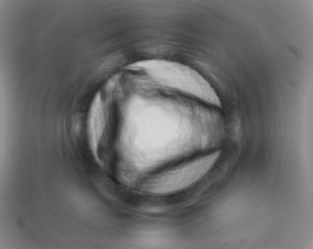 X0000113330671200910051147