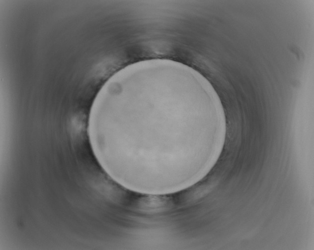 X0000113330672200910051147