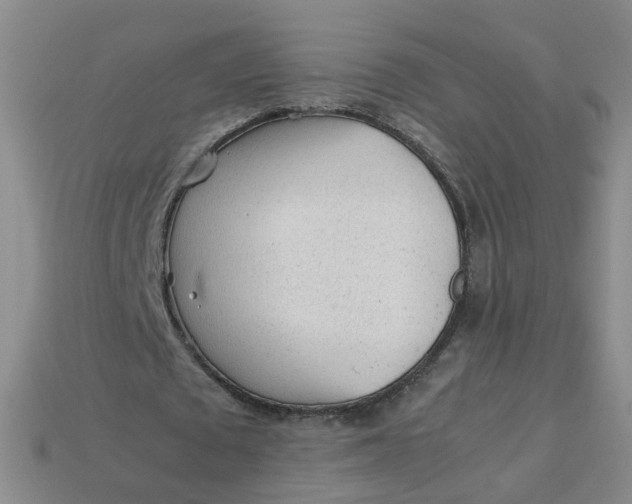 X0000113330673200910051146