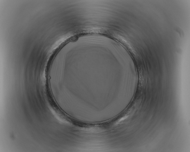 X0000113330674200910051146