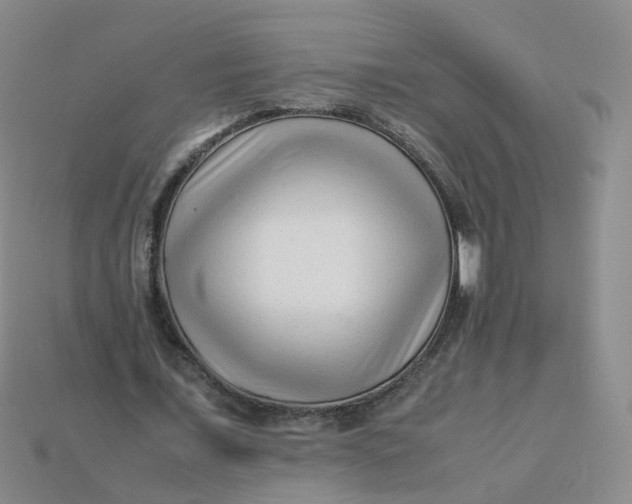 X0000113330675200910051146