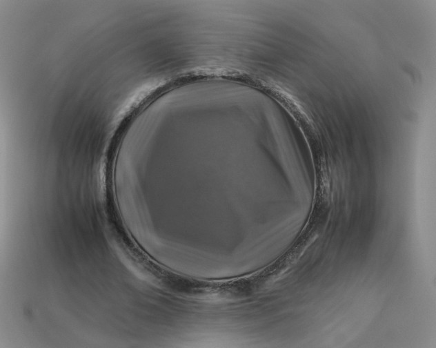 X0000113330678200910051146