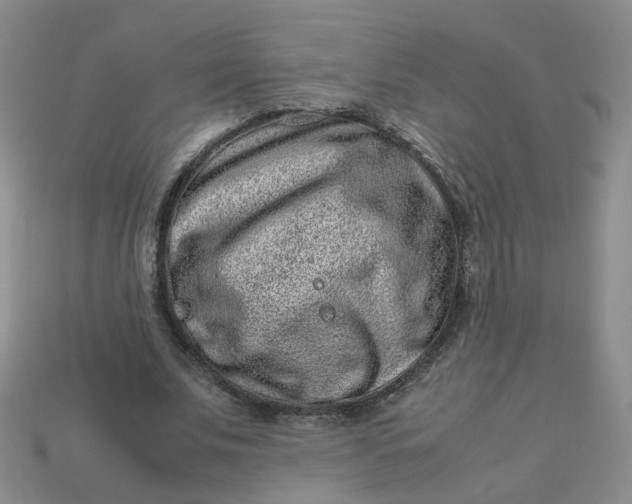 X0000113330679200910051146