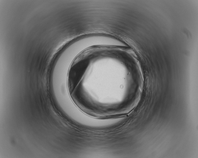 X0000113330680200910051146