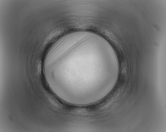 X0000113330685200910051146