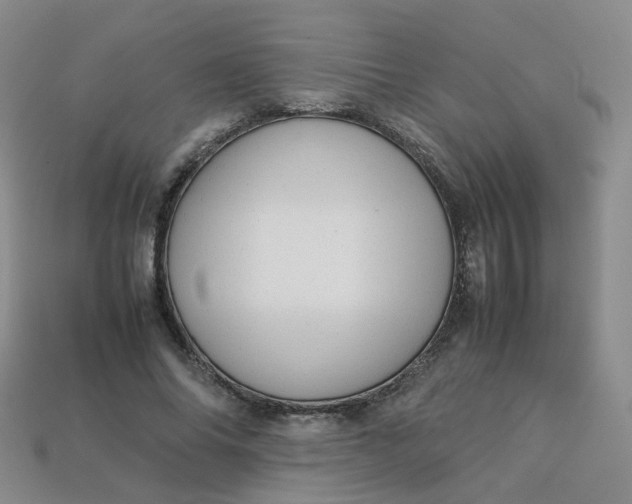 X0000113330686200910051146