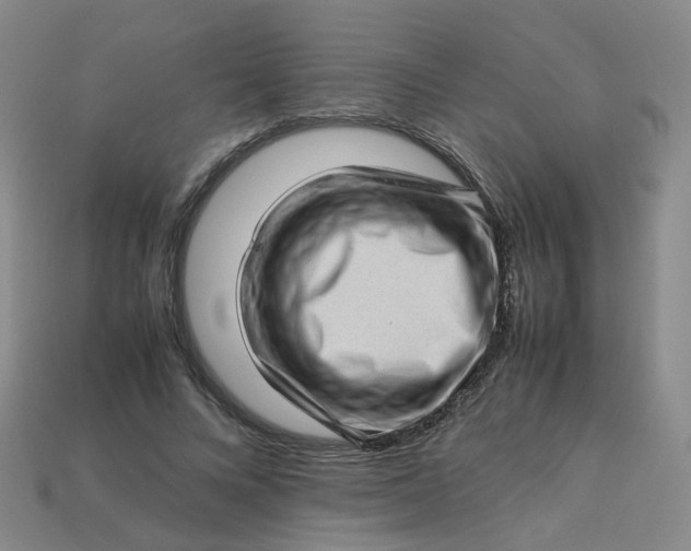 X0000113330688200910051146
