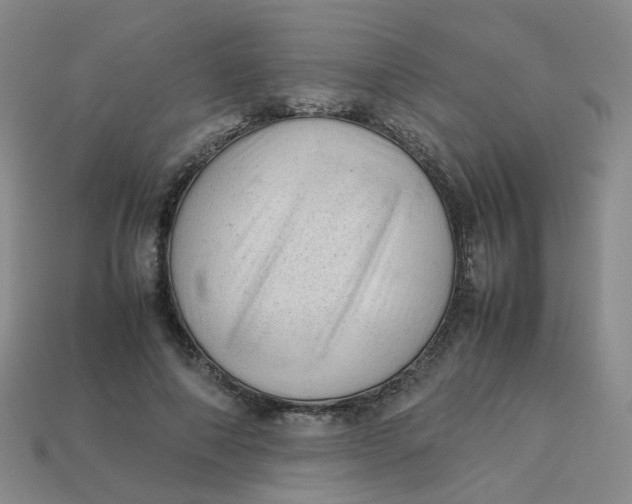 X0000113330690200910051146