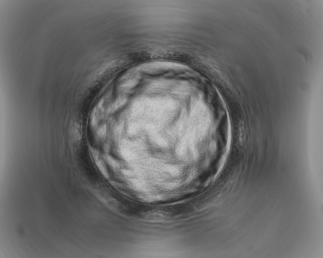 X0000113330691200910051146