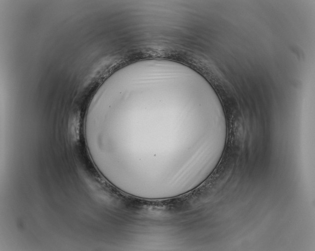 X0000113330694200910051146