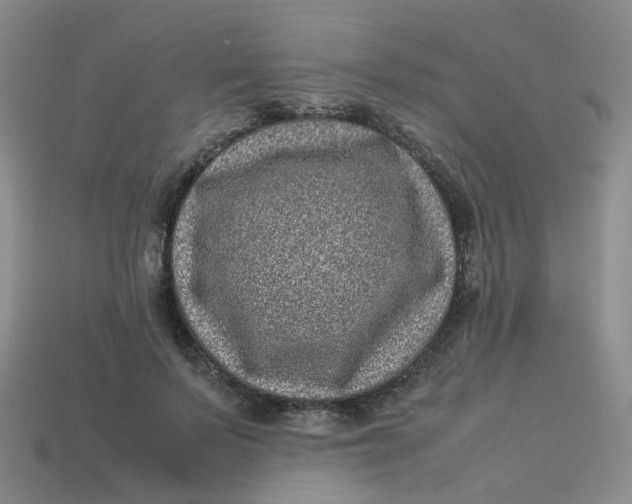 X0000113330695200910051146