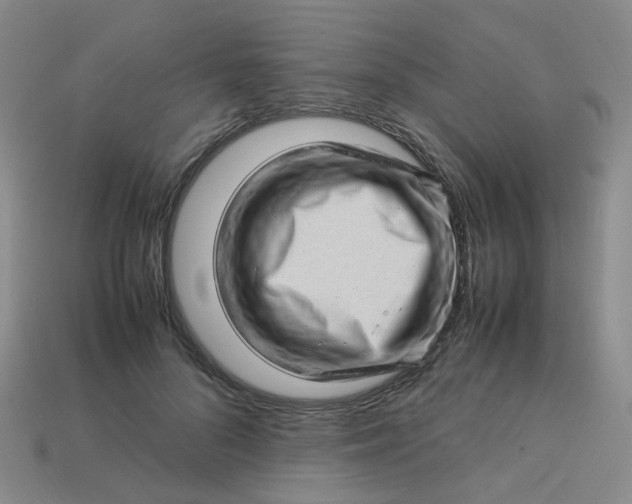 X0000113330696200910051146