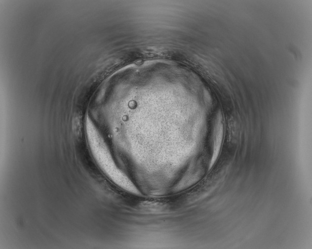 X0000113330699200910051146