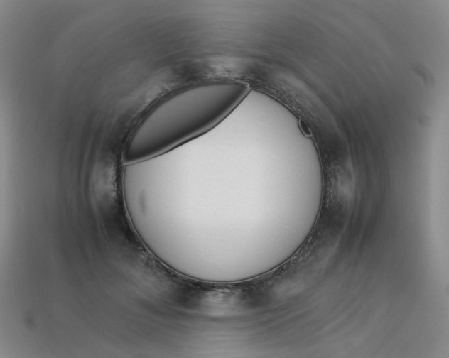 X0000113330700200910051146