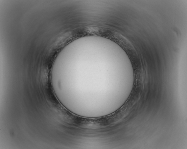 X0000113330702200910051146