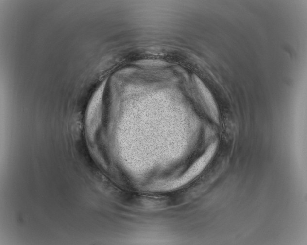 X0000113330707200910051146