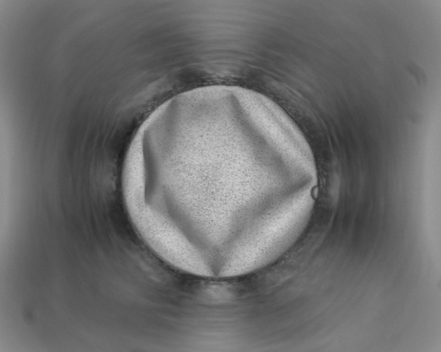 X0000113330710200910051146