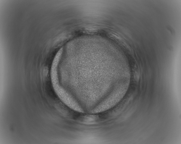 X0000113330711200910051146