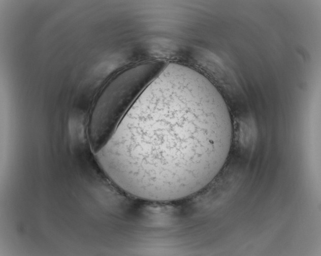 X0000113330712200910051146