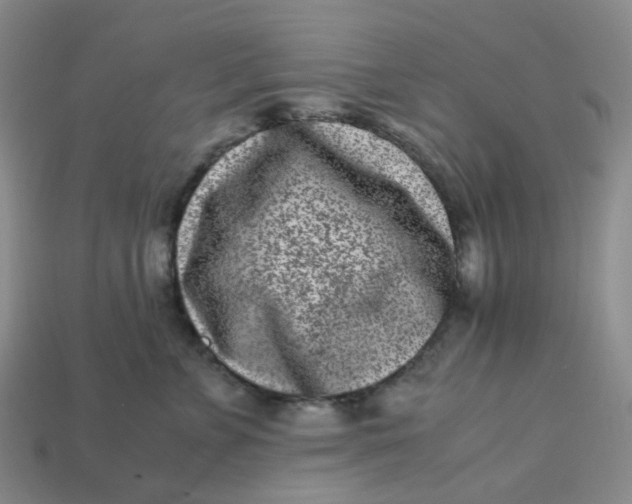 X0000113330715200910051146