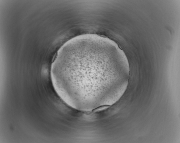 X0000113330720200910051146