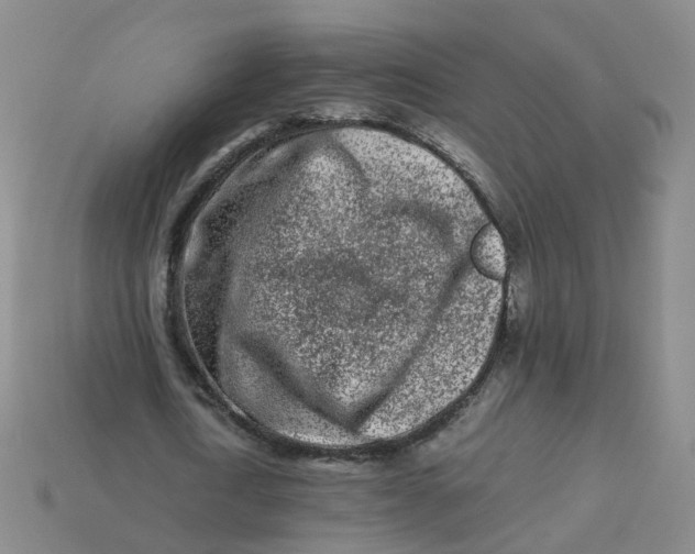 X0000113330722200910051145