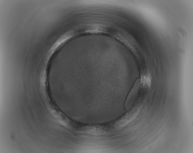 X0000113330724200910051145
