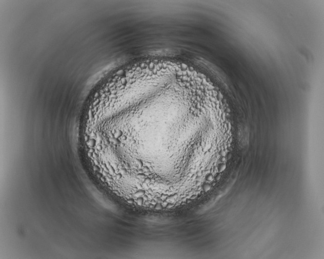 X0000113330725200910051145