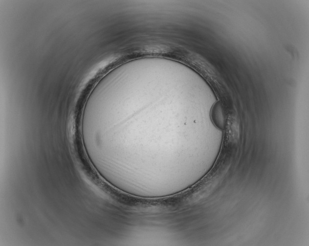 X0000113330726200910051145