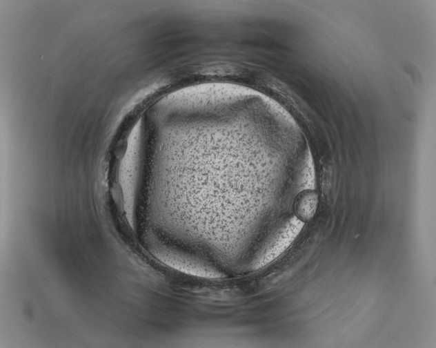 X0000113330727200910051145