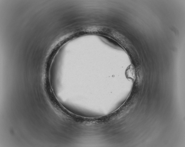 X0000113330728200910051145