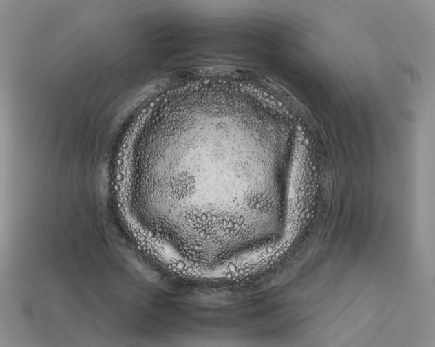 X0000113330729200910051145