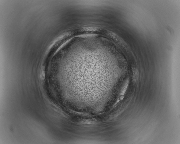 X0000113330731200910051145