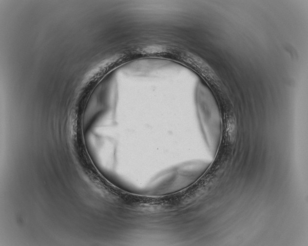 X0000113330732200910051145