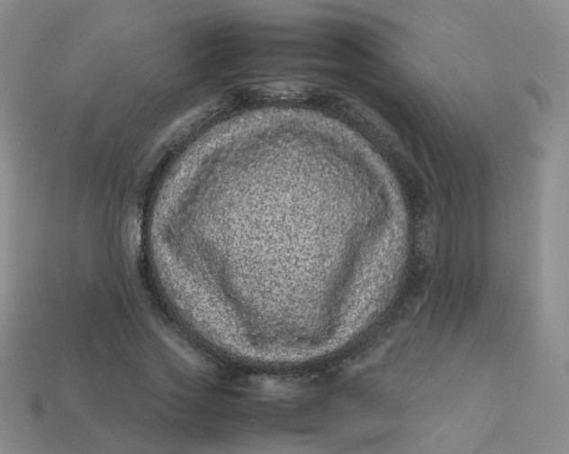 X0000113330733200910051145