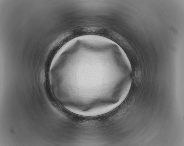 X0000113330734200910051145