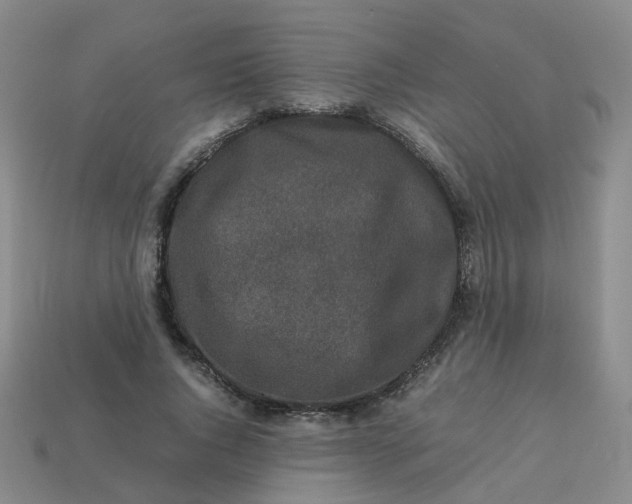 X0000113330736200910051145